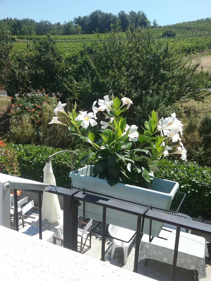 Bed and Breakfast La Terrazza Del Barbaresco Neviglie Zewnętrze zdjęcie